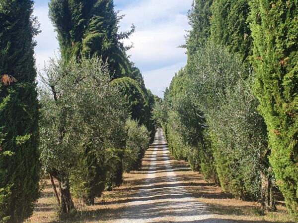Trauergruppe suizidhinterbliebene Eltern
